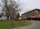 NYC Health + Hospitals Coler