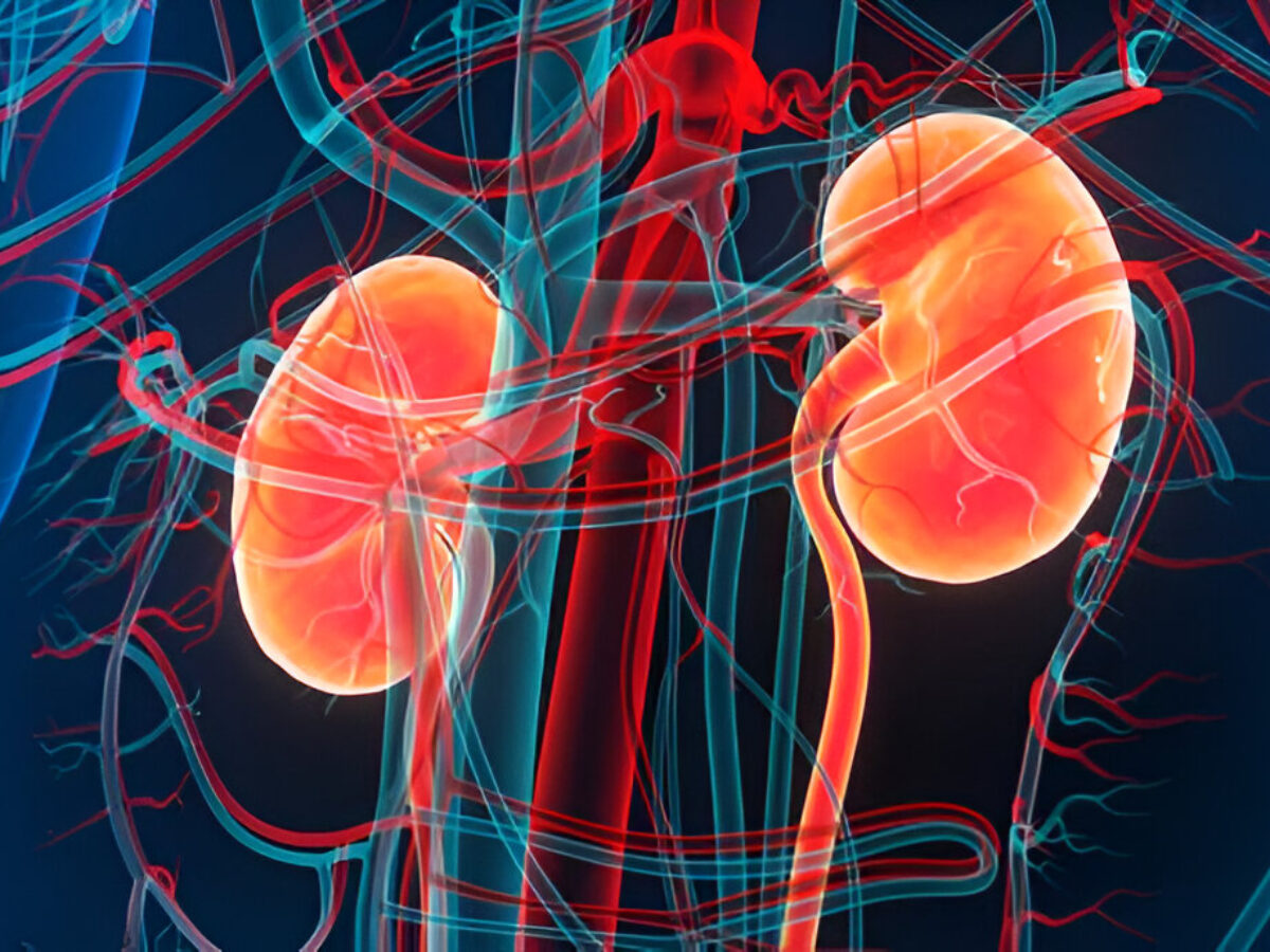 Early Warning Signs of Kidney Disease | Dialyze Direct