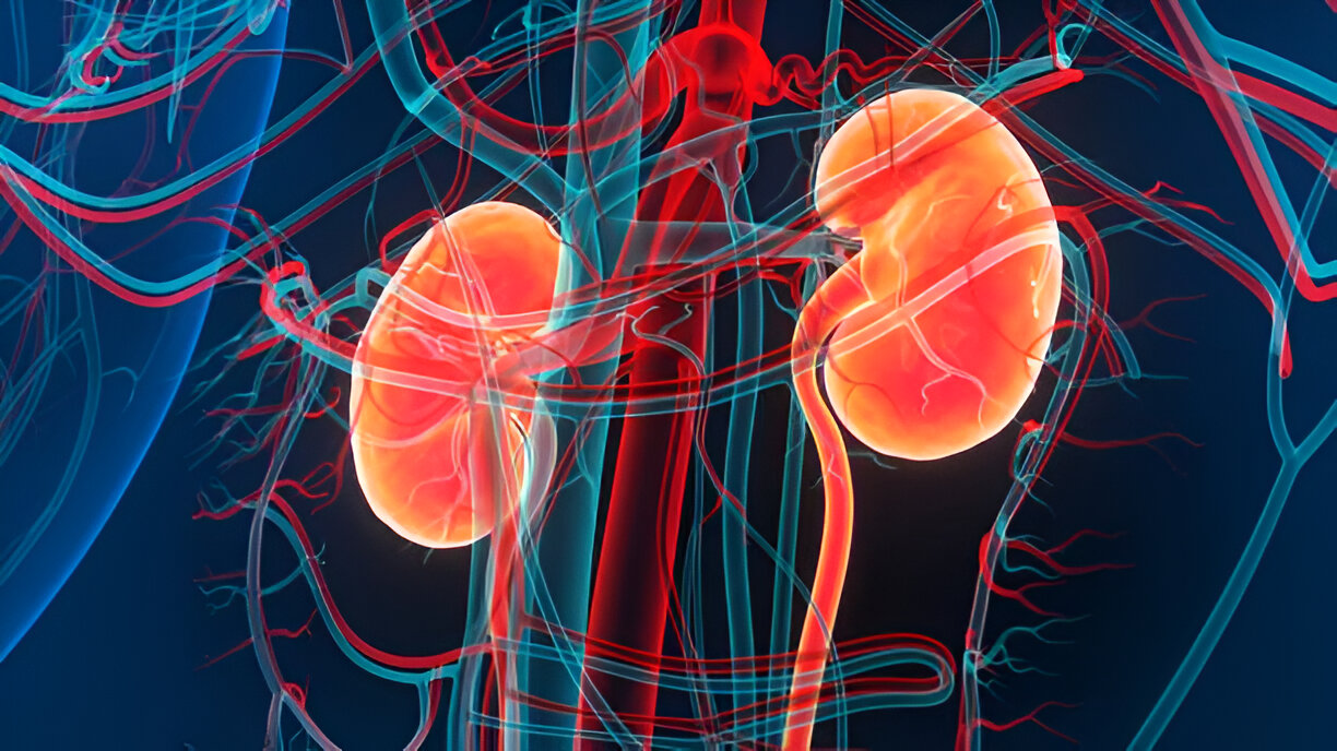 Early Warning Signs of Kidney Disease | Dialyze Direct