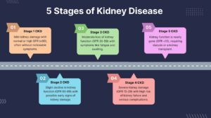 Stages of Chronic Kidney Disease